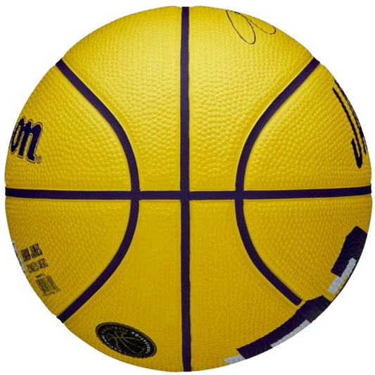 Wilson NBA Player Icon LeBron James Mini Ball Basketball WZ4027701XB Accessories/Balls/Basketball Your Sports Performance