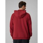 Men's regular hooded sweatshirt 4F 4FRSS26TSWSM2975-20S 4f
