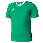 T-shirt adidas Entrada 22 Jersey Jr HI2126 Clothing/Training Adidas