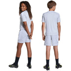 adidas Tiro 26 League Training Kids Shorts Gray JY7149 To be categorized Your Sports Performance