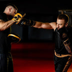 Multi-layer boxing gloves - ProFighter Gold - Legacy Series rękawice treningowe Your Sports Performance