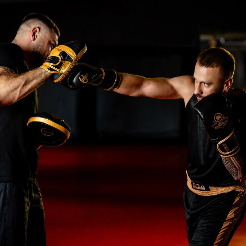 Multi-layer boxing gloves - ProFighter Gold - Legacy Series rękawice treningowe Your Sports Performance