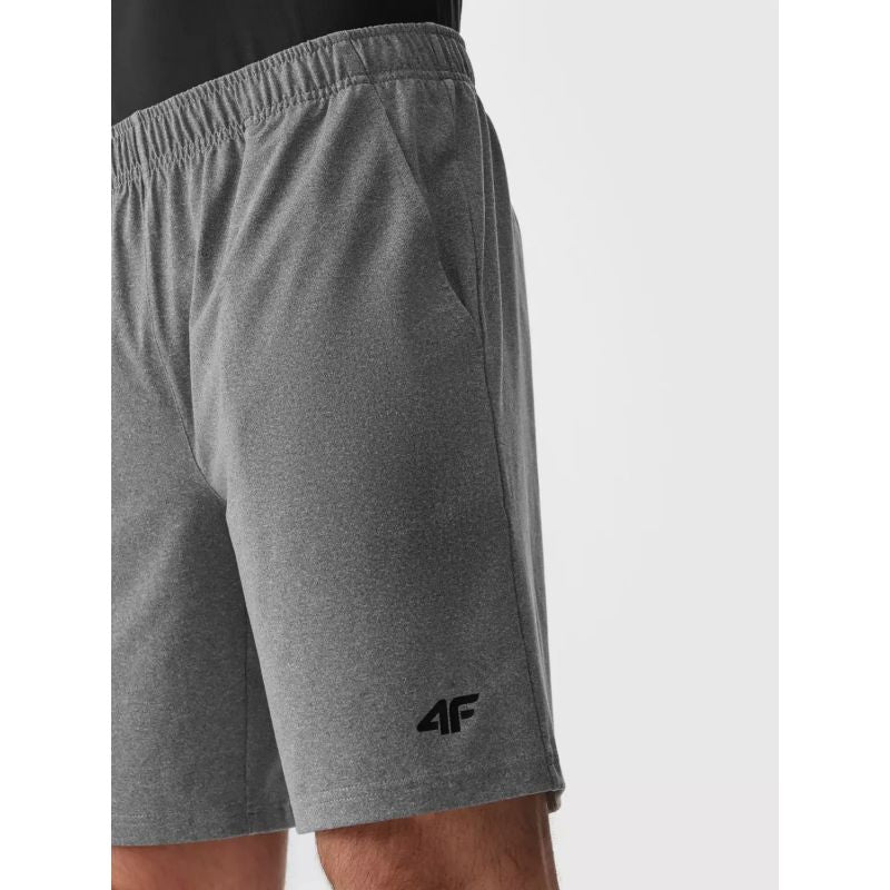 4F M shorts 4FAW23TFSHM299-27M Clothing/Training 4F