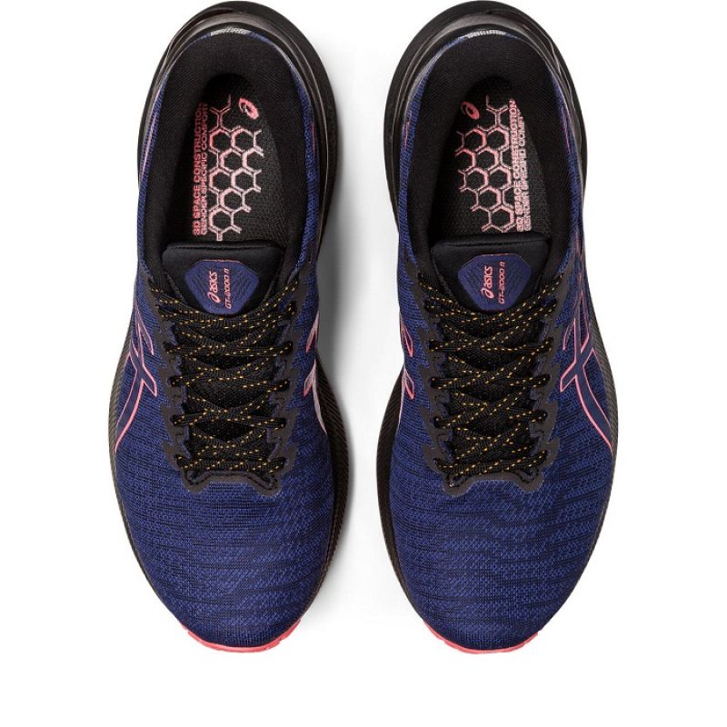Asics GT 2000 11 GTX W 1012B304003 shoes Footwear/Running/Women Asics