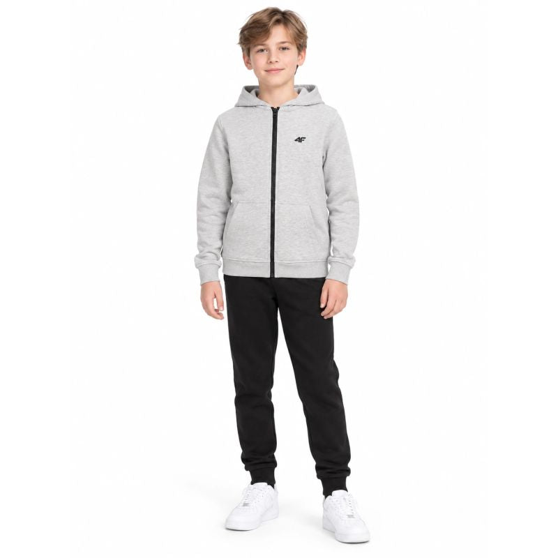 Boy's zip-up hoodie 4F 4FJWMM00TSWSM2754-27M