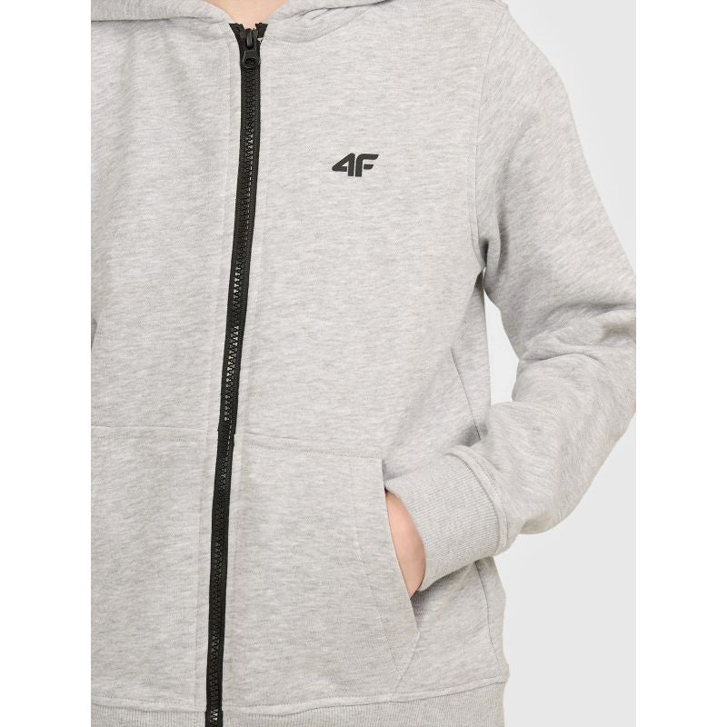 Boy's zip-up hoodie 4F 4FJWMM00TSWSM2754-27M