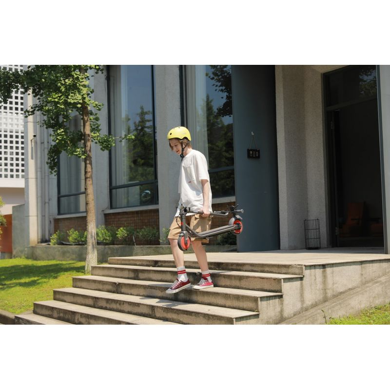 Segway-electric scooter ZING C20 Import z Action/Skating/Hulajnogi elektryczne Your Sports Performance