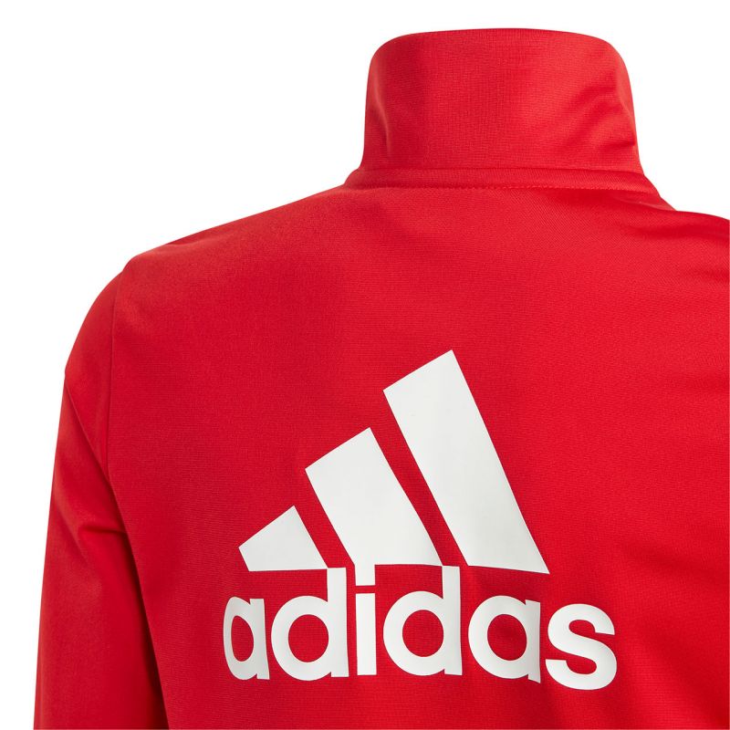 adidas Essentials Big Logo Track Suit Jr IJ6305 Clothing/Training Adidas