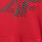Sweatshirt 4F M 4FWMM00TSWSM1766 062S 4f
