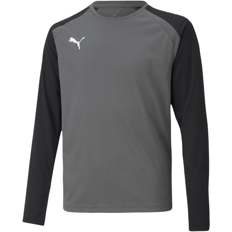 Puma teamPacer GK LS Jersey Jr 704939 43 goalkeeper sweatshirt Clothing/Football Puma