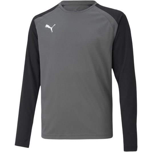 Puma teamPacer GK LS Jersey Jr 704939 43 goalkeeper sweatshirt Clothing/Football Puma