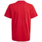 T-shirt adidas Big Logo Tee Jr IJ6262 Clothing/Lifestyle/T-shirts Adidas