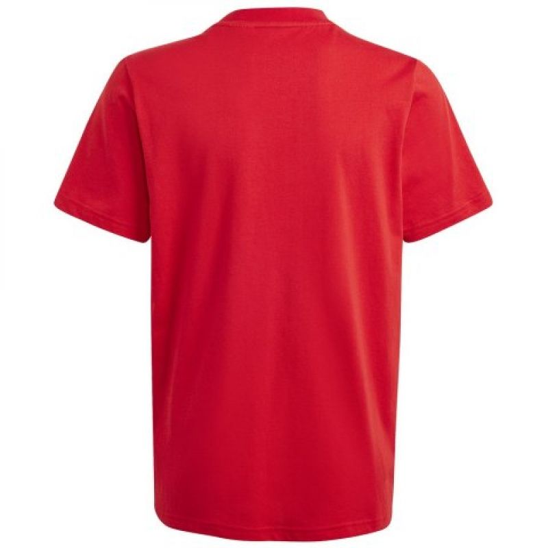 T-shirt adidas Big Logo Tee Jr IJ6262 Clothing/Lifestyle/T-shirts Adidas
