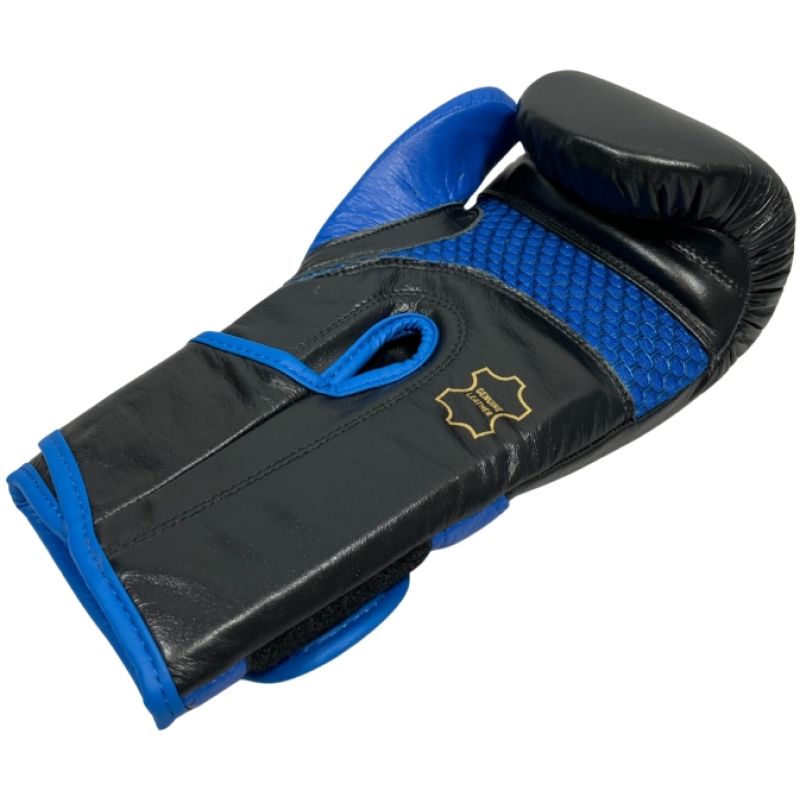 RBT-PRO-TRAIN Boxing Gloves 12 oz MASTERS FIGHT EQUIPMENT