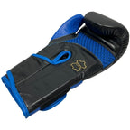 RBT-PRO-TRAIN Boxing Gloves 12 oz MASTERS FIGHT EQUIPMENT