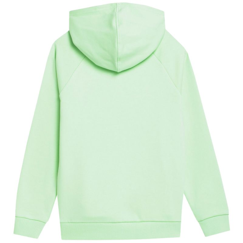 Sweatshirt 4F Jr. 4FJSS23TSWSM220 42S Clothing/Lifestyle/4F 4F