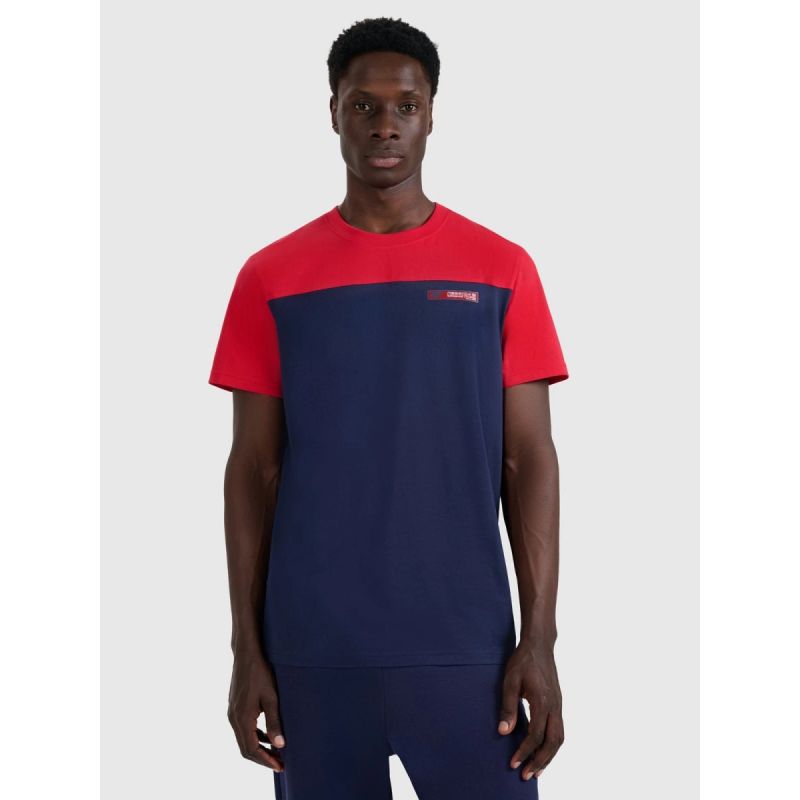 Men's regular printed T-shirt 4F 4FRAW25TTSHM3292-31S 4f