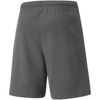 Puma teamRise Short M 704942 13 Clothing/Training Puma