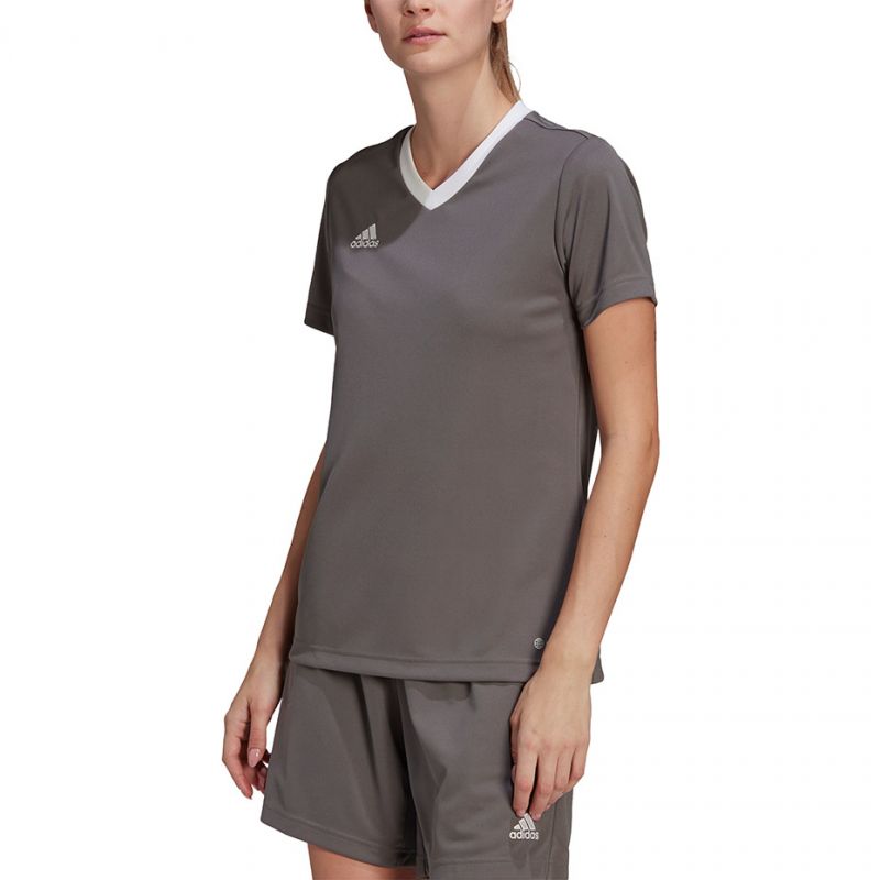 T-shirt adidas Entrada 22 Jsy W H59848 Clothing/Training Adidas