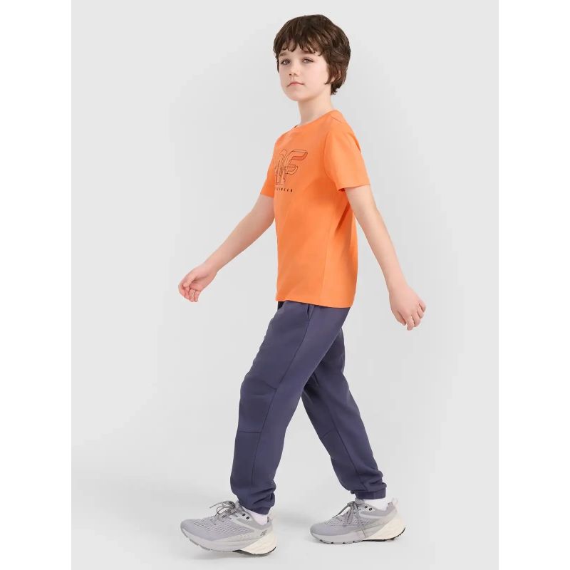 Boys' jogger sweatpants 4F 4FJWSS25TTROM0964-22S *Kategoria tymczasowa Your Sports Performance