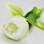 BOUQUET OF 5 WHITE TULIPS 39 CM LIFE-LIKE SPRING DECORATION Home and Garden/Equipment Your Sports Performance