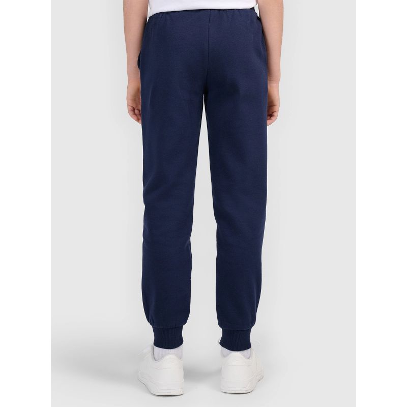 Boys' jogger sweatpants 4F 4FJWMM00TTROM1840-31S