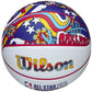 Wilson 2025 NBA All Star Mini Ball Basketball WZ3020201XB Accessories/Balls/Basketball Your Sports Performance