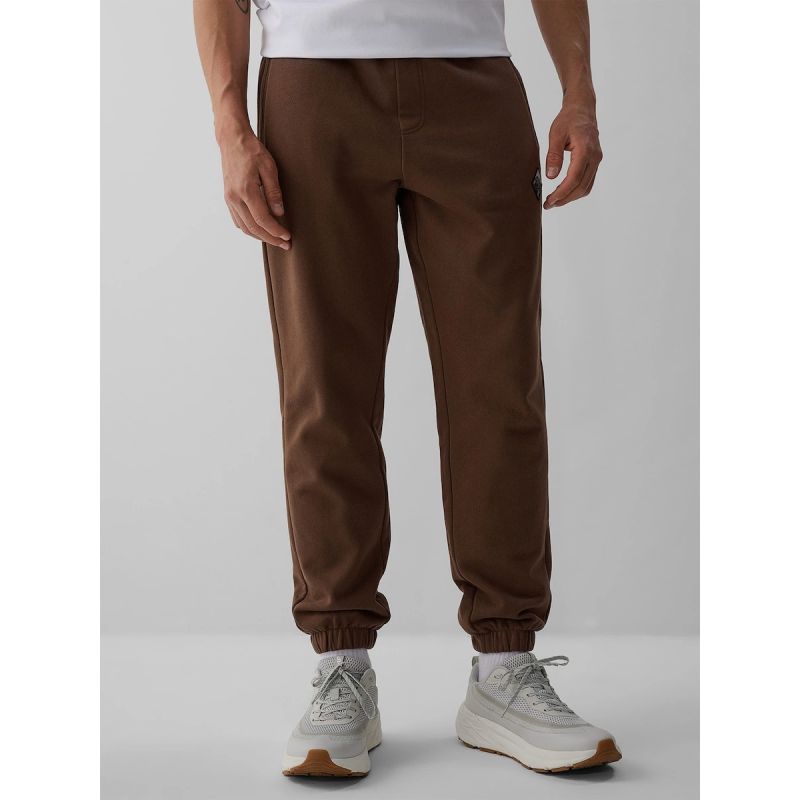 Men's jogger sweatpants 4F 4FRAW26TTROM2092-81S