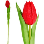 RED TULIP 31CM LIFE-LIKE SPRING DECORATION Home and Garden/Equipment Your Sports Performance