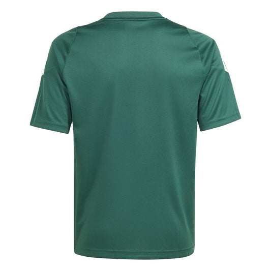 Adidas Tiro 24 Jr IS1028 T-shirt Clothing/Football Adidas