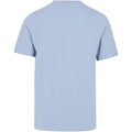PROTEST PRTRodas men's T-shirt, blue