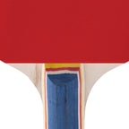 SPOKEY TRAINING PRO 81919 PING PONG RACKET Accessories/Rackets and accessories Your Sports Performance