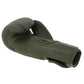 Pointfighter Gloves TOP TEN EUROPE In preparation Your Sports Performance
