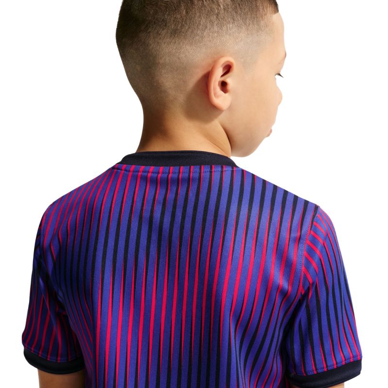 Nike Paris Saint-Germain kids' t-shirt purple IQ6946 420