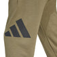 adidas Essentials Big Logo French Terry Pants M JE8970 Clothing/Lifestyle/Trousers, shorts Adidas