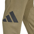 adidas Essentials Big Logo French Terry Pants M JE8970 Clothing/Lifestyle/Trousers, shorts Adidas