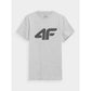 Men's regular printed T-shirt 4F 4FWMM00TTSHM1844-27M *Kategoria tymczasowa Your Sports Performance