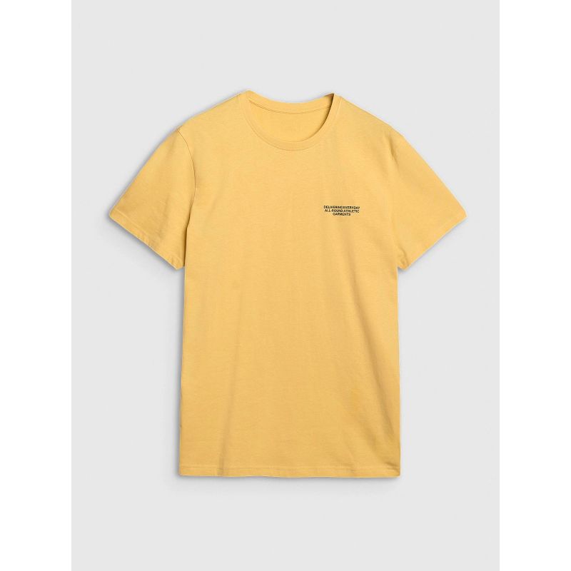 Men's regular T-shirt with print 4F 4FWSS25TTSHM1974- 4F 4FWSS25TTSHM1974-71S *Kategoria tymczasowa Your Sports Performance