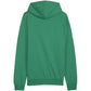 Puma Team Goal Casuals Hoody M 658618 05 Clothing/Training Puma