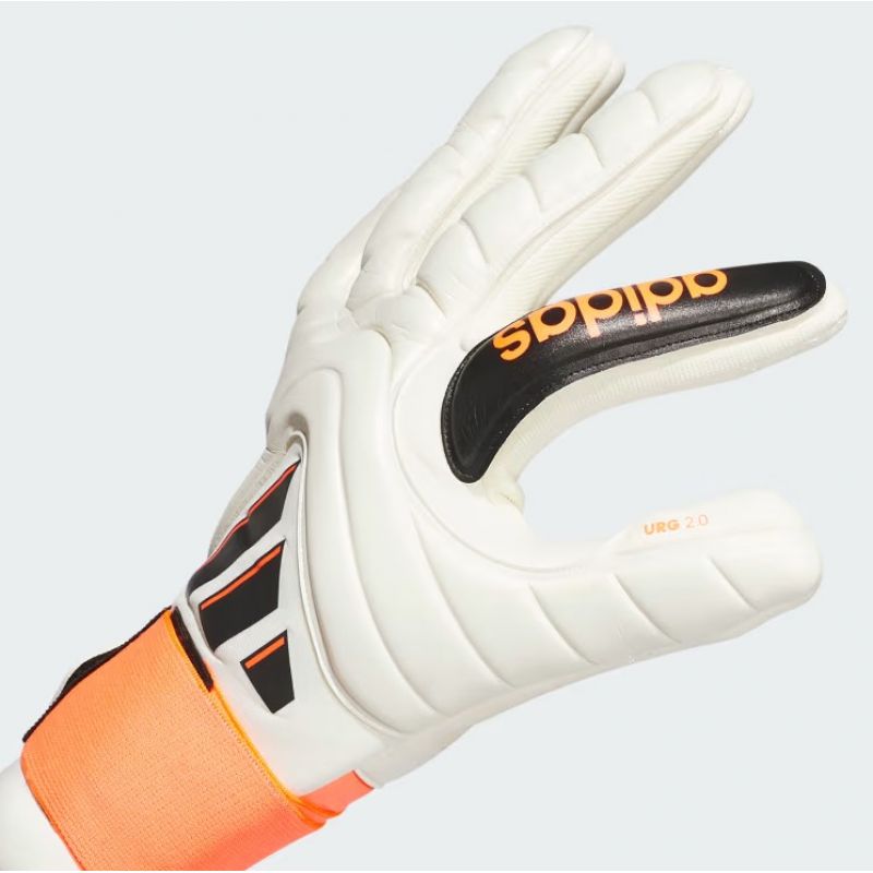 Adidas Copa Pro M IQ4013 goalkeeper gloves Accessories/Gloves Adidas