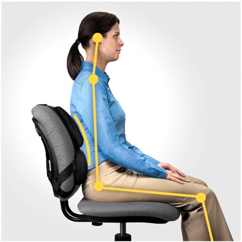 Fellowes Ergonomics Professional Back Support Cushion In preparation Your Sports Performance