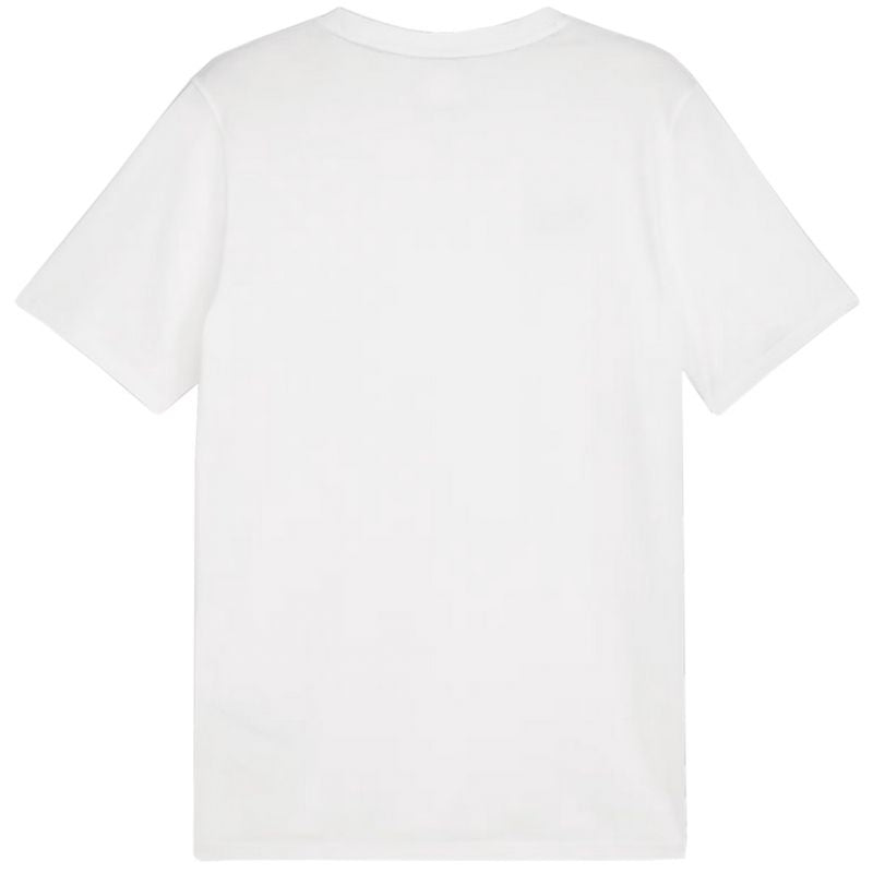 Puma Team Goal Casuals Tee M 658615 04 Clothing/Lifestyle/T-shirts Puma