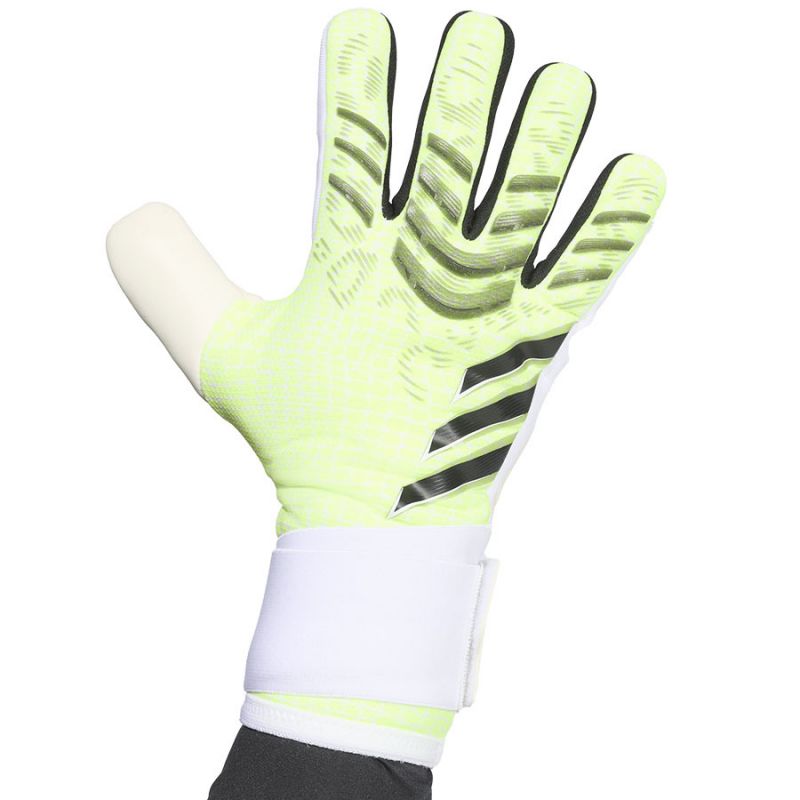 adidas Predator GL COM M JN5371 Gloves Accessories/Gloves Adidas