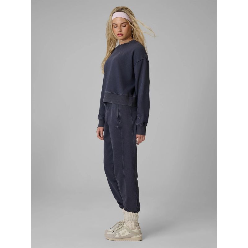 Women's jogger sweatpants 4F 4FRAW26TTROF2051-31S