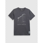 Men's regular printed T-shirt 4F 4FRAW25TTSHM3845-22S 4f