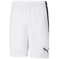 Puma team shortsLIGA M 704924 04 Clothing/Football Puma