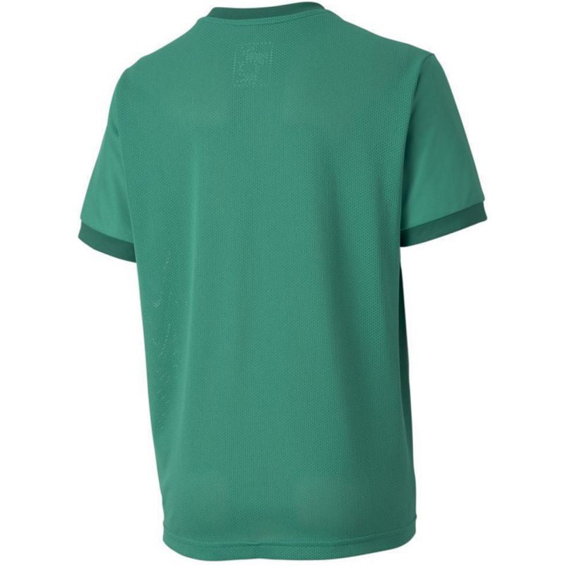 Puma teamGOAL 23 Jersey Jr T-shirt 704160 05 Clothing/Lifestyle/T-shirts Puma