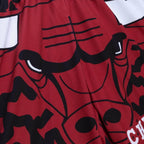 Mitchell & Ness NBA Chicago Bulls Jumbotron 2.0 Sublimated Shorts Obuwie/Buty na co dzień Your Sports Performance