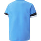 T-shirt Puma teamRise Jersey Jr 704938 18 Clothing/Training Puma