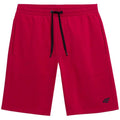 Shorts 4F M156 M 4FSS23TSHOM156 62S Clothing/Lifestyle/Trousers, shorts/4F 4F